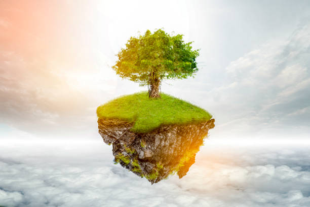 istock Renewable energy concept Earth Day or environment protection Hands protect forests that grow on the ground and help save the world. 1169595868