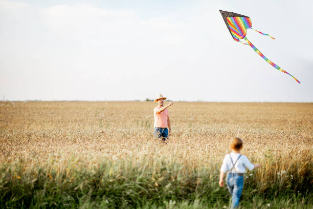 istock Father and son with air kite in the field 1169596642