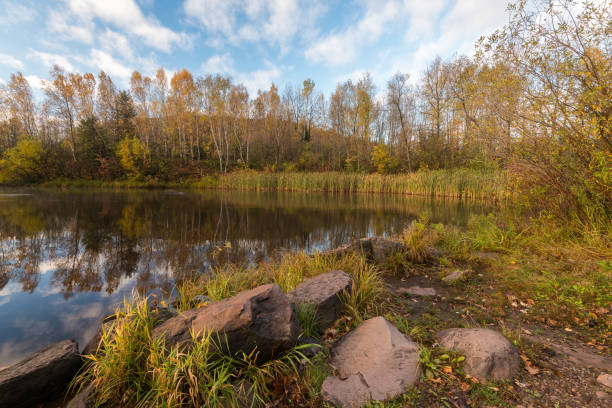 Autumn colored trees reflecting in clear blue lake water. Horizontal outdoor Landscape