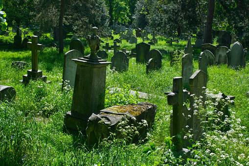 London, England - May 11, 2008: Century old tombstones in Brompton Cemetery.