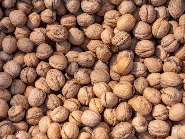 istock Fresh walnuts at the weekly market 1169601055