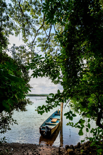 istock Boat in Nerul river 3 1169602557