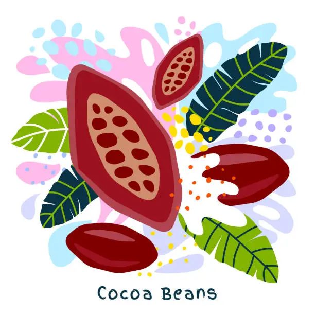 Vector illustration of Fresh cocoa beans juice splash organic food condiment spice splatter. Spicy herbs nuts.
