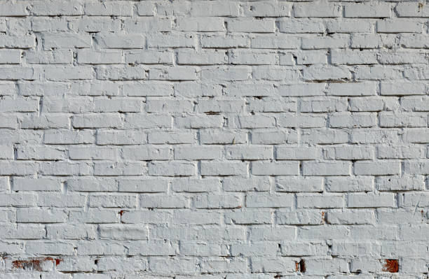 istock whitewashed brick wall,taken on a summer day 1169605522