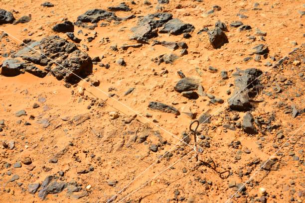 Archaeological grid placed before excavation - Meroe pyramids, Begarawiyah, Sudan