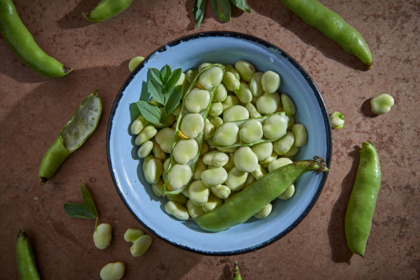 広い豆は茶色のテーブルの青いボウルに入っています - broad bean bean bowl brown ストックフォトと画像