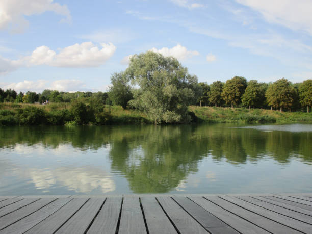 istock Public park   Wooden walkway  Pond  Reflection on the water 1169612896