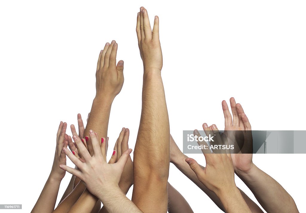 human manos - Foto de stock de Fondo blanco libre de derechos