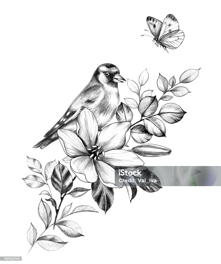 Goldfinch Sitting On Branch With Flower Stock Illustration ...