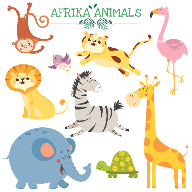 귀여운 아프리칸 동물세트 - zoo young animal africa group of animals stock illustrations