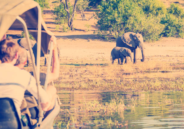 istock Tourists On Elephant Safari Africa 1169628260