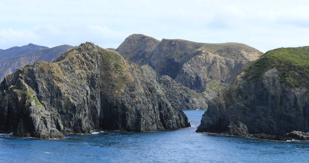 istock Tranquil view in Cook Strait, New Zealand 1169630227