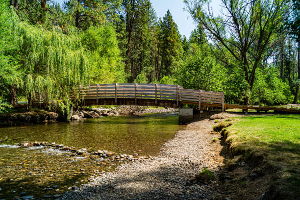 istock Catherine Creek in eastern Oregon 1169630590