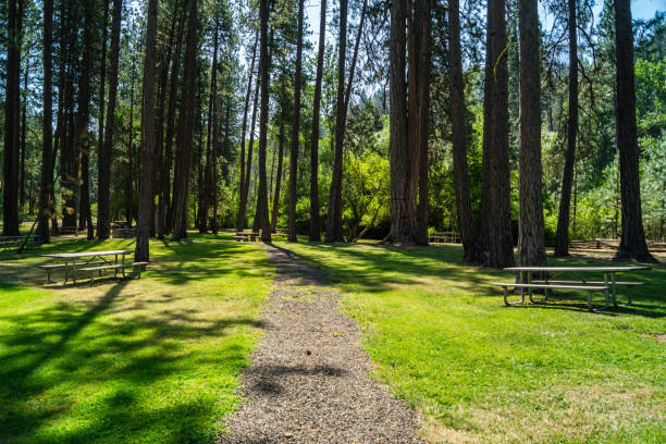 istock Catherine Creek State Park in eastern Oregon 1169630614