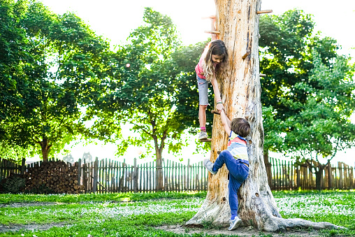 Beautiful girl holding small boy to hand helping him to climb a tree