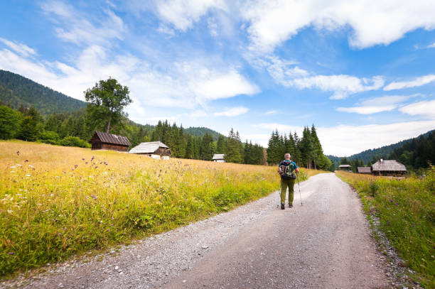 istock Hiker with backpack walking along dirt road to a forest 1169631964