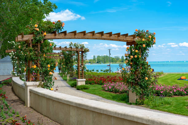 バラクンファードのバラトン湖へのペルゴラアーバー経路,ハンガリー - formal garden garden path bench flower ストックフォトと画像