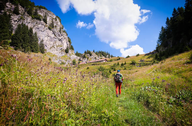 Man hiker walking on trail in mountain.