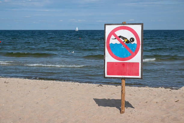 istock No swimming warning sign on the beach 1169633801