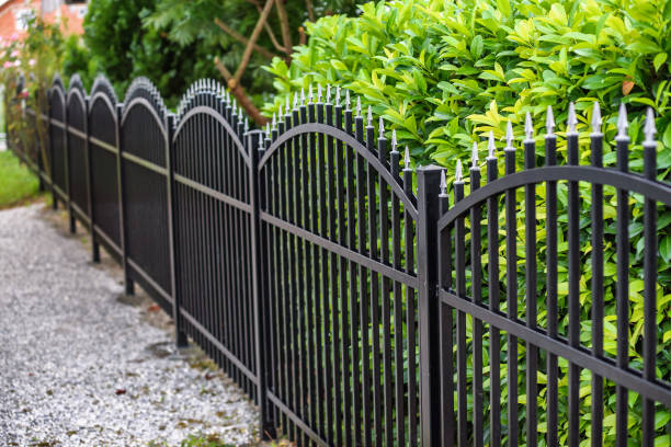 cerca de ferro - iron fence - fotografias e filmes do acervo