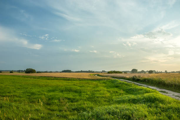 istock Green field, road and clouds on a blue sky 1169635218