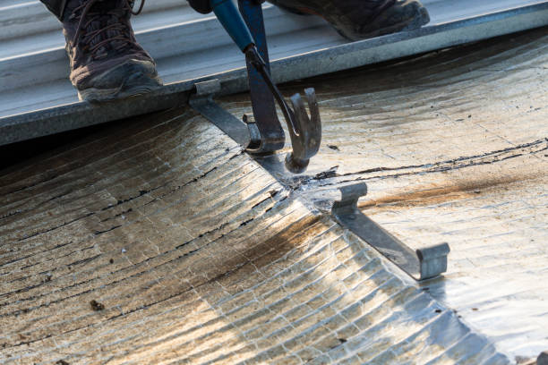 istock Roof Demolition 1169639389
