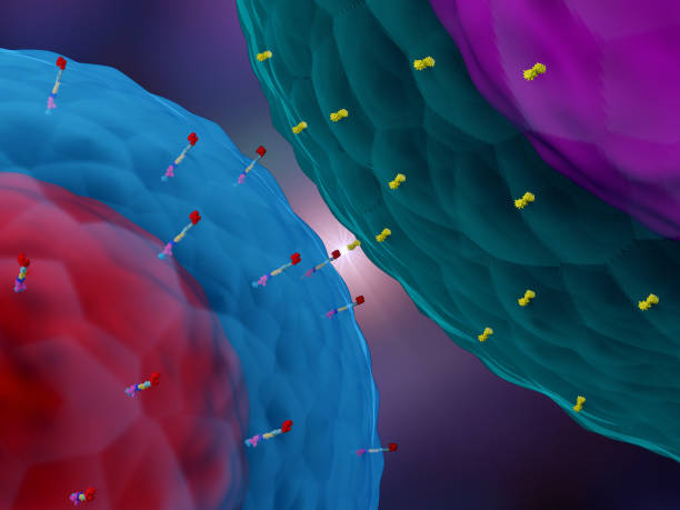 istock A CAR T cell interacting with a cancer cell 1169641823