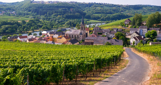 アン村,ルクセンブルク - german culture germany vineyard village ストックフォトと画像