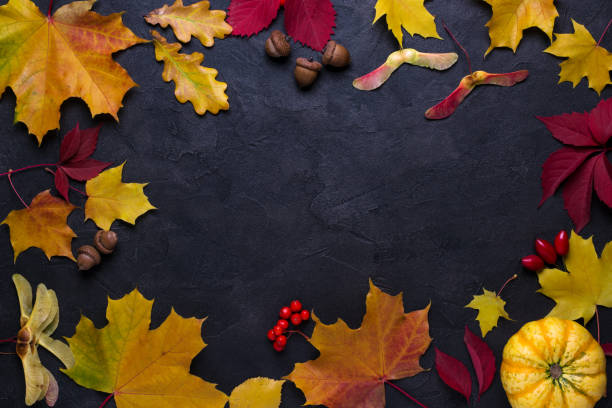 istock Frame with autumn maple leaves. Nature fall template for design, menu, postcard, banner, ticket, leaflet, poster. On a dark background 1169642888