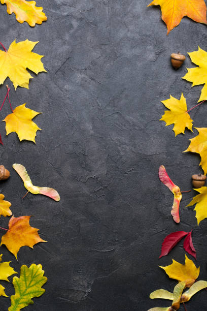istock Frame with autumn maple leaves. Nature fall template for design, menu, postcard, banner, ticket, leaflet, poster. On a dark background 1169642926