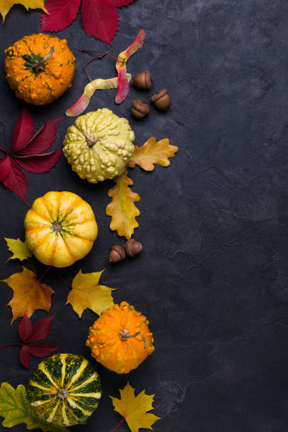 istock Autumn composition. Frame made of different multicolor dried leaves and pumpkin on dark background. Autumn, fall concept. Flat lay, top view, copy space 1169642948