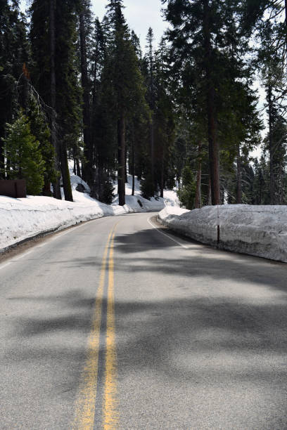 istock Unusual spring storm blankets road in snow 1169643372