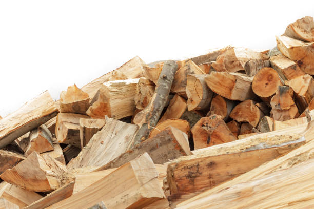 istock A large pile of carcasses beech firewood. 1169644136
