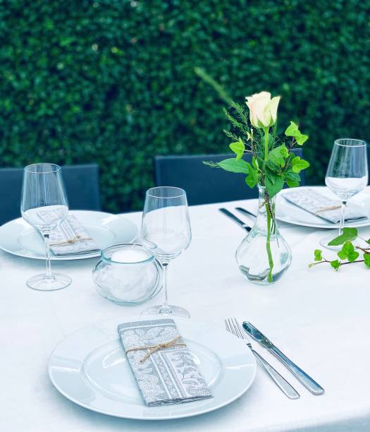 istock Gardenparty 1169645097