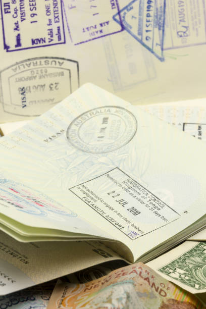 istock Visa Stamps and Foreign Currency 1169645170