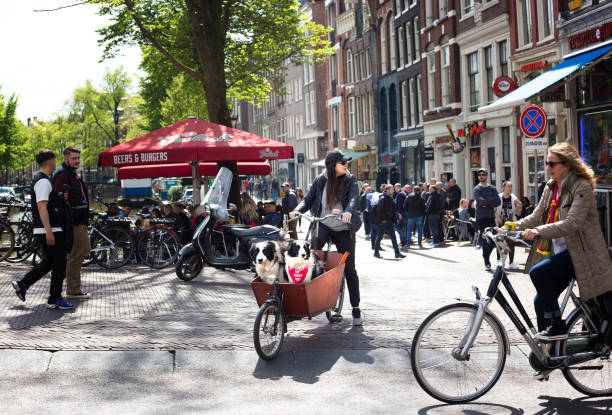 Homeless Man Selling Homeless Newspaper At Amsterdam The Netherlands 12-9-2024