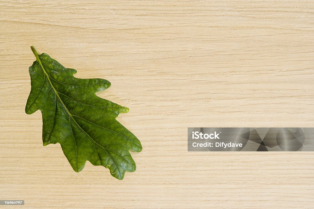 Madeira de carvalho fundo com folha de árvore correspondente - Royalty-free Carpintaria Foto de stock