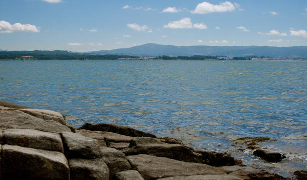 istock Illa de Arousa, Galicia, Spain, Beautiful pebble beach with algae on the shore and blue sky with clouds 1169648101