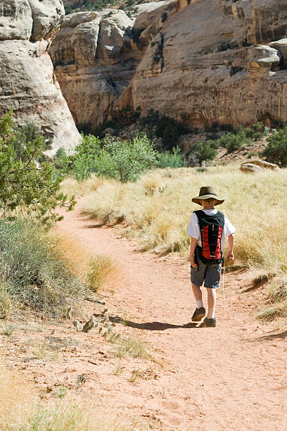 istock Hiking the Narrows 116965507