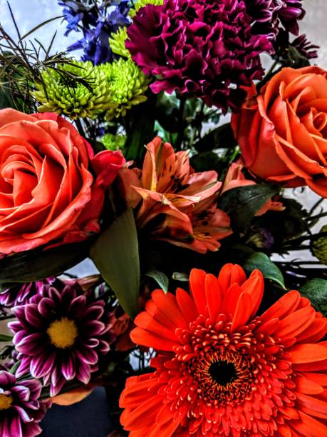 istock Floral Arrangements 1169655325