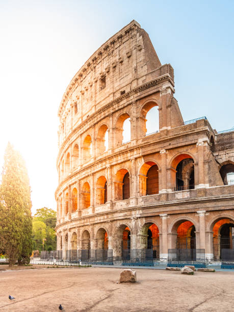 coliseo, o coliseo. amanecer matutino en el enorme anfiteatro romano, roma, italia. - rome fotografías e imágenes de stock