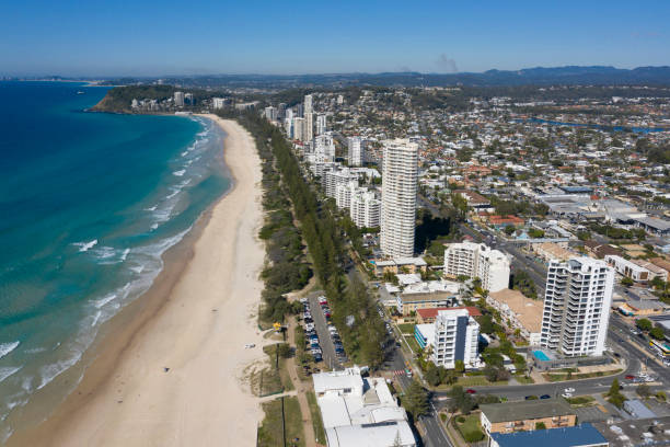 istock Palm beach at Burleigh Heads, 1169664881
