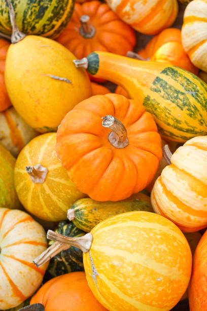 istock Halloween, orange pumpkin 1169667462