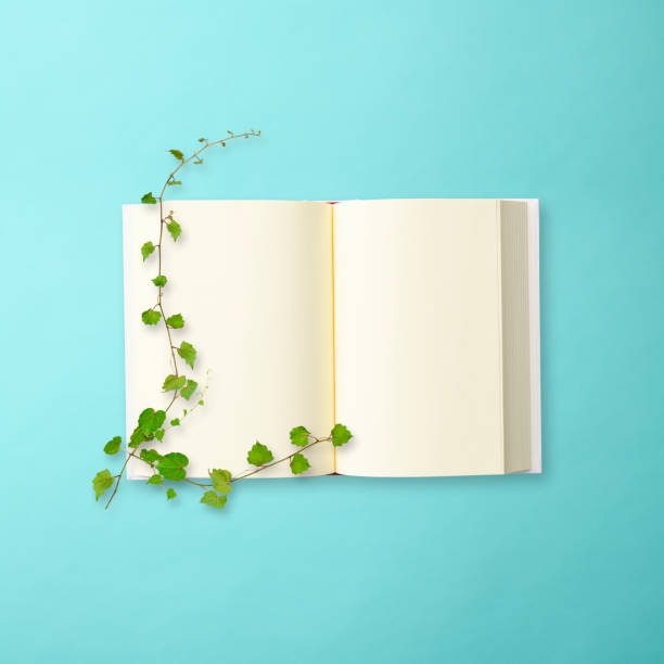 Overhead shot of opened blank book with green leaves on light blue background.