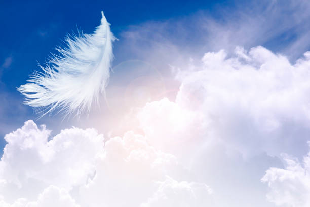 istock solf single white feather floating in the sky with cloudy. 1169675017