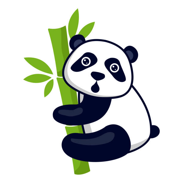 Drawing Of The Panda Eating Bamboo Illustrations, Royalty-Free Vector  Graphics & Clip Art - iStock