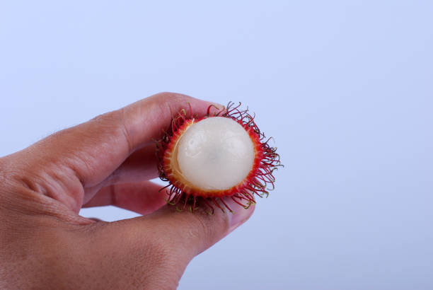 istock Hand hold Rambutan isolated on white background 1169677950