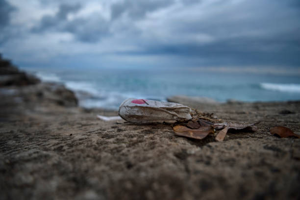 istock Rubbish by the Sea 1169678617