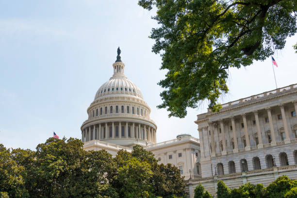 istock Western Facing View of US Capitol Building 1169680662