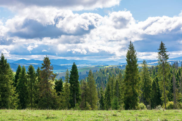 istock beautiful alpine landscape in september 1169687848
